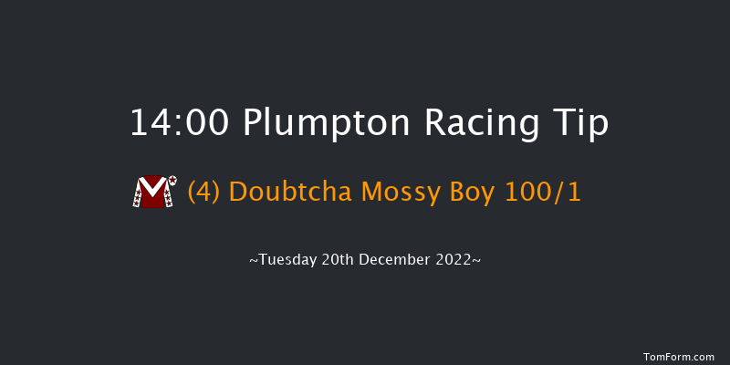 Plumpton 14:00 Maiden Hurdle (Class 4) 16f Mon 14th Nov 2022