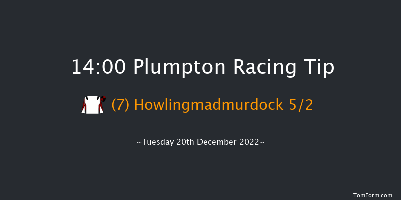 Plumpton 14:00 Maiden Hurdle (Class 4) 16f Mon 14th Nov 2022
