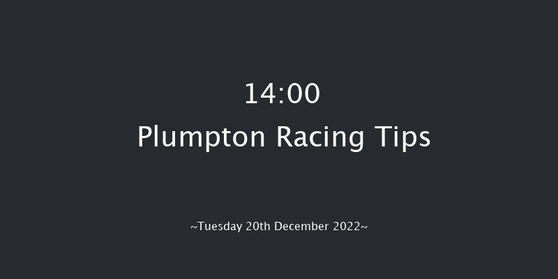Plumpton 14:00 Maiden Hurdle (Class 4) 16f Mon 14th Nov 2022