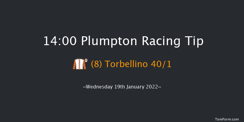 Plumpton 14:00 Maiden Hurdle (Class 4) 16f Sun 2nd Jan 2022