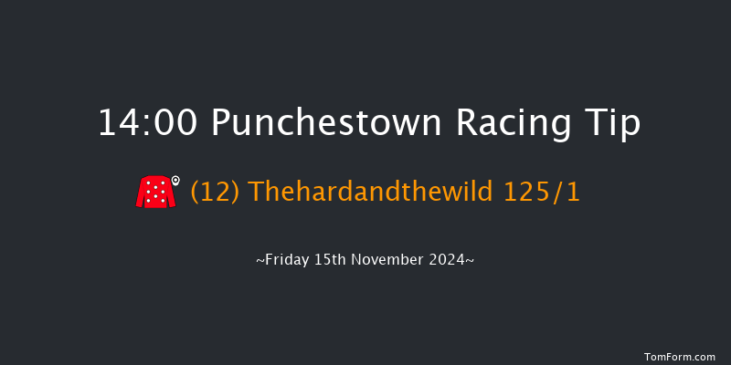Punchestown  14:00 Maiden Hurdle 16f Wed 16th Oct 2024