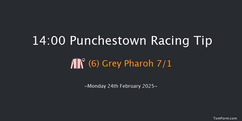 Punchestown  14:00 Maiden Hurdle 17f Fri 21st Feb 2025
