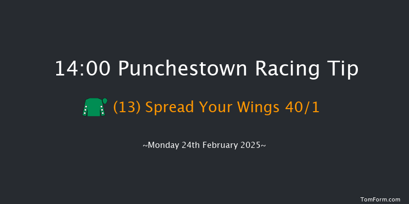 Punchestown  14:00 Maiden Hurdle 17f Fri 21st Feb 2025