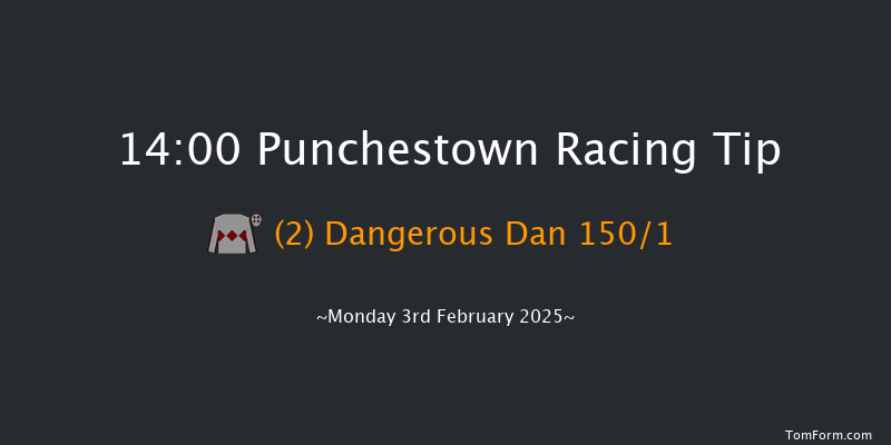 Punchestown  14:00 Maiden Hurdle 16f Mon 27th Jan 2025