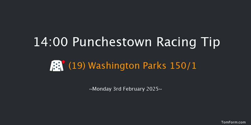 Punchestown  14:00 Maiden Hurdle 16f Mon 27th Jan 2025