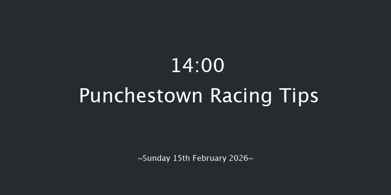 Punchestown 14-00 22f Wed 4th Feb 2026