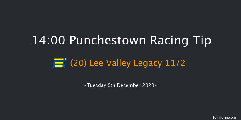 Buy Irish Love Green Handicap Hurdle Punchestown 14:00 Handicap Hurdle 24f Sun 6th Dec 2020