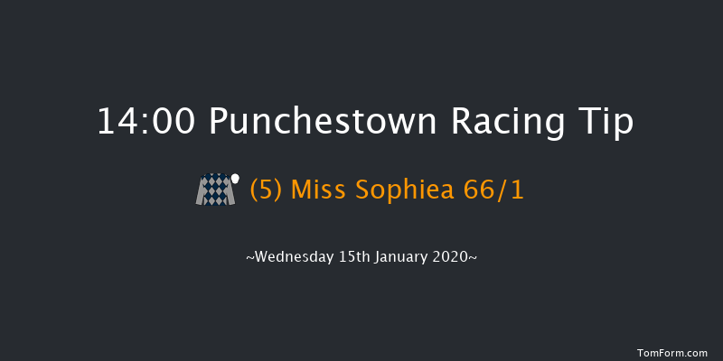 Punchestown 14:00 Maiden Hurdle 20f Sun 12th Jan 2020
