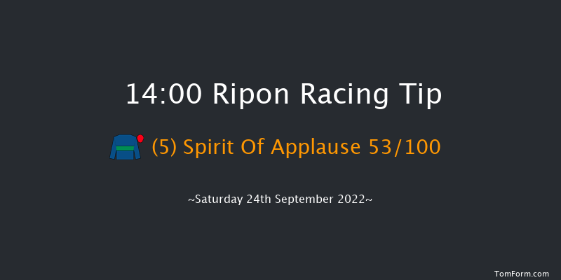 Ripon 14:00 Stakes (Class 5) 6f Tue 30th Aug 2022