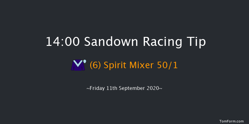 British Stallion Studs EBF Novice Stakes (Plus 10) Sandown 14:00 Stakes (Class 4) 8f Mon 31st Aug 2020