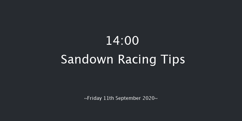 British Stallion Studs EBF Novice Stakes (Plus 10) Sandown 14:00 Stakes (Class 4) 8f Mon 31st Aug 2020
