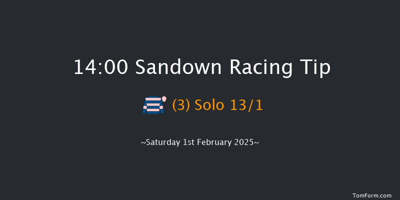 Sandown  14:00 Handicap Chase (Class 2) 15f Fri 24th Jan 2025