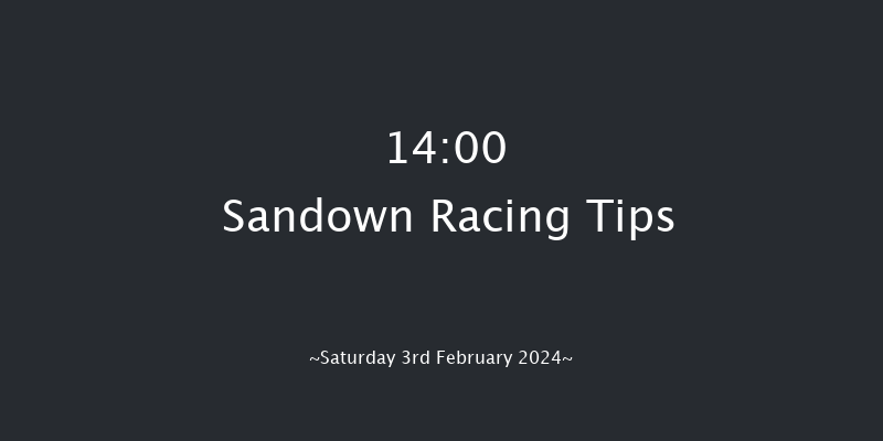 Sandown  14:00 Handicap Chase (Class 2) 15f Fri 26th Jan 2024