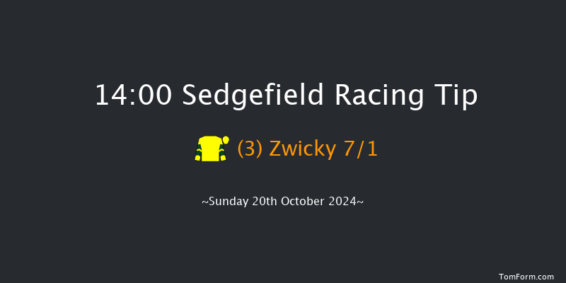 Sedgefield  14:00 Handicap Chase (Class 5) 21f Wed 9th Oct 2024