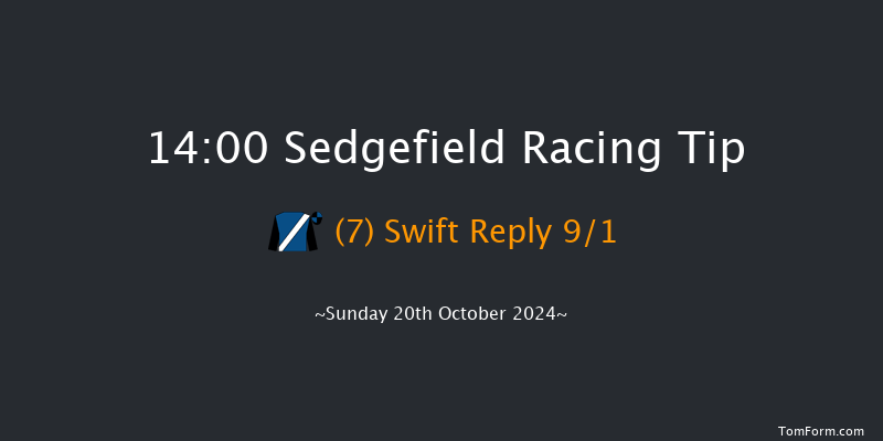 Sedgefield  14:00 Handicap Chase (Class 5) 21f Wed 9th Oct 2024