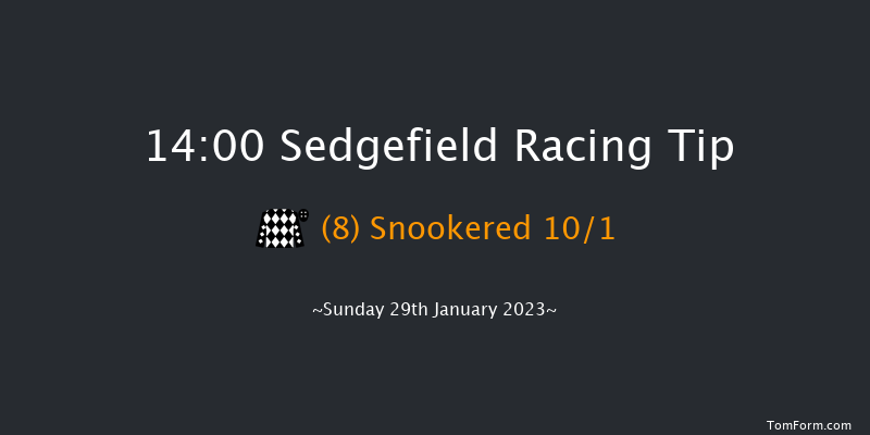Sedgefield 14:00 Handicap Hurdle (Class 3) 17f Fri 13th Jan 2023