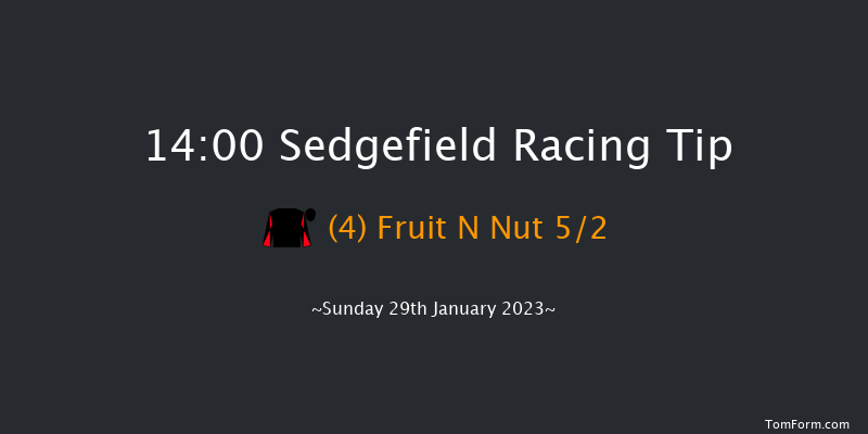 Sedgefield 14:00 Handicap Hurdle (Class 3) 17f Fri 13th Jan 2023