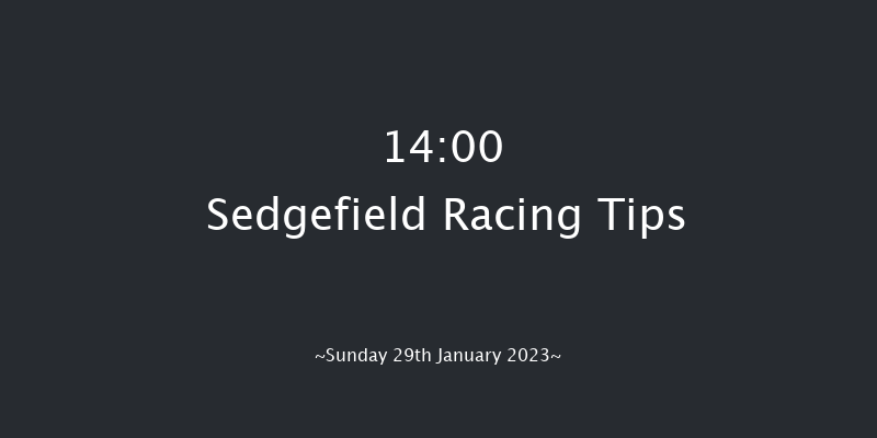 Sedgefield 14:00 Handicap Hurdle (Class 3) 17f Fri 13th Jan 2023