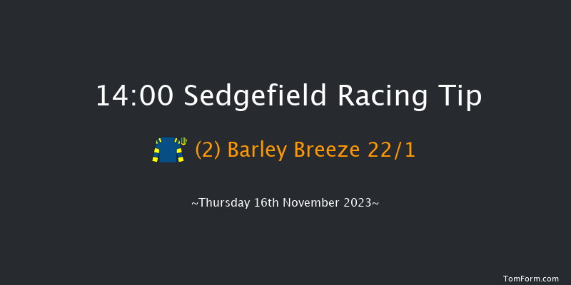 Sedgefield 14:00 Handicap Chase (Class 5) 21f Thu 9th Nov 2023