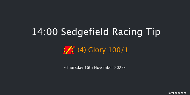 Sedgefield 14:00 Handicap Chase (Class 5) 21f Thu 9th Nov 2023