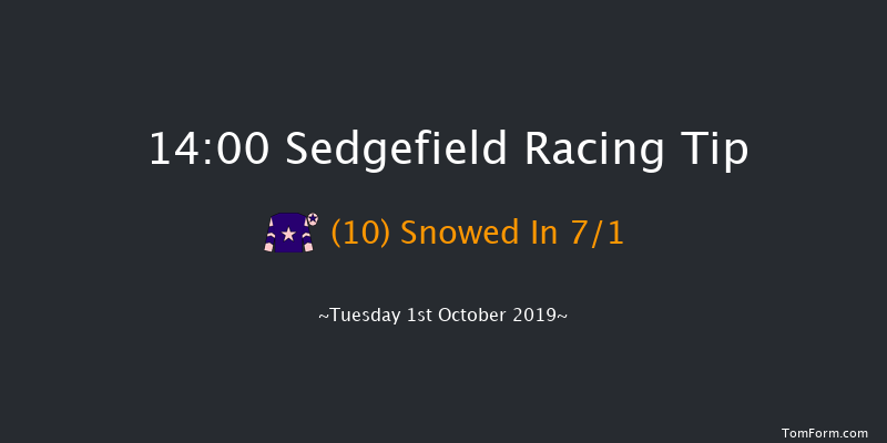 Sedgefield 14:00 Handicap Hurdle (Class 5) 17f Thu 5th Sep 2019