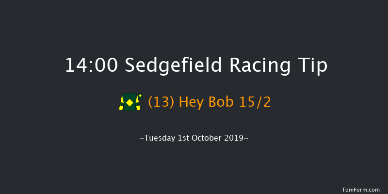 Sedgefield 14:00 Handicap Hurdle (Class 5) 17f Thu 5th Sep 2019