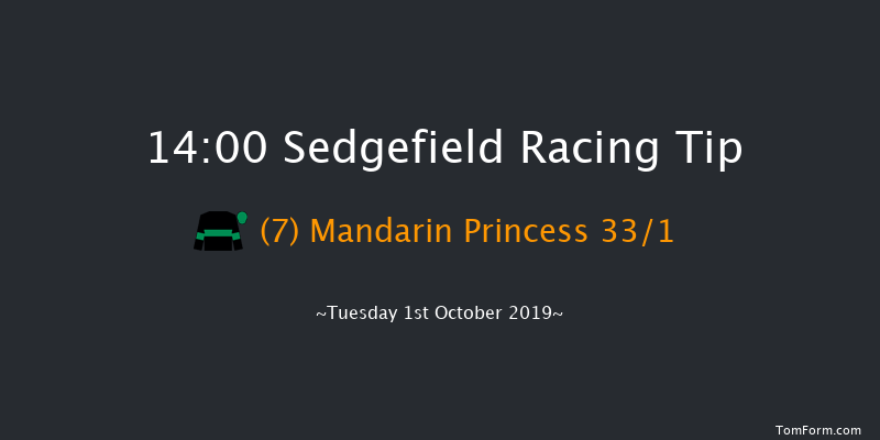 Sedgefield 14:00 Handicap Hurdle (Class 5) 17f Thu 5th Sep 2019