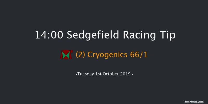 Sedgefield 14:00 Handicap Hurdle (Class 5) 17f Thu 5th Sep 2019