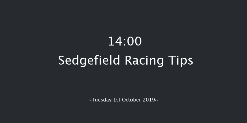Sedgefield 14:00 Handicap Hurdle (Class 5) 17f Thu 5th Sep 2019