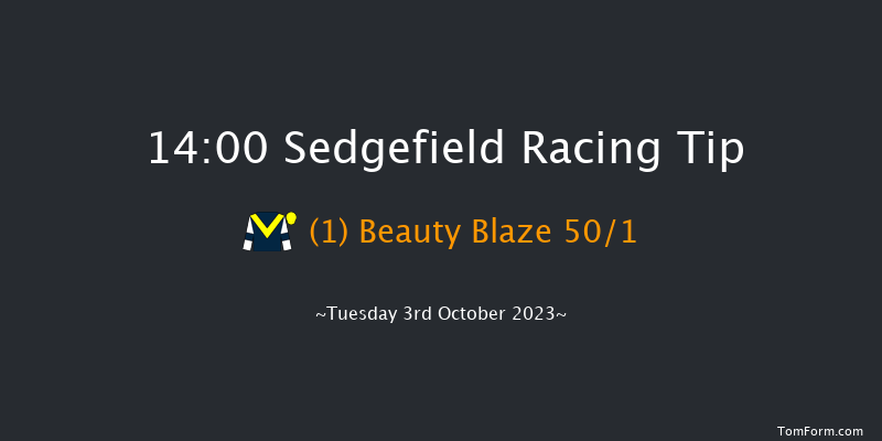 Sedgefield 14:00 Maiden Hurdle (Class 4) 17f Fri 14th Apr 2023
