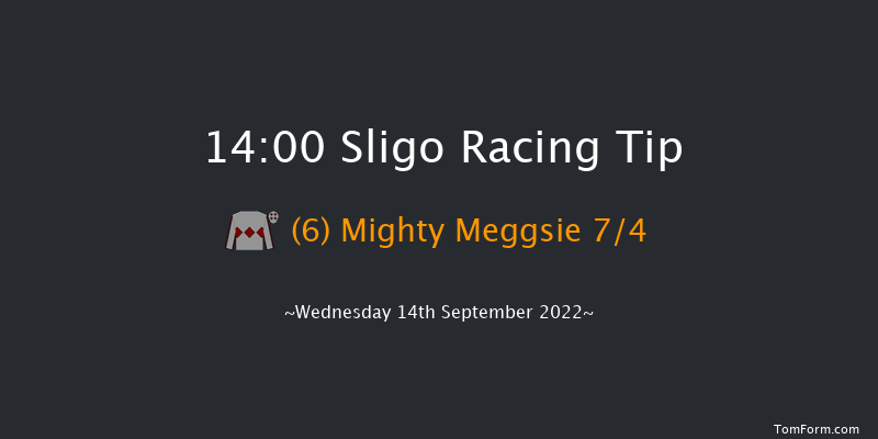Sligo 14:00 Maiden Chase 17f Wed 17th Aug 2022