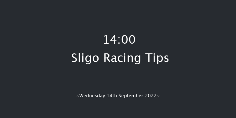 Sligo 14:00 Maiden Chase 17f Wed 17th Aug 2022