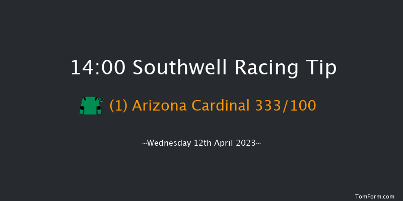 Southwell 14:00 Handicap Chase (Class 4) 24f Sun 9th Apr 2023