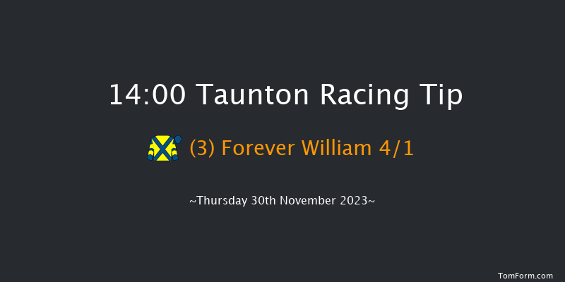 Taunton 14:00 Handicap Hurdle (Class 3) 19f Thu 16th Nov 2023