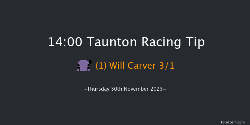 Taunton 14:00 Handicap Hurdle (Class 3) 19f Thu 16th Nov 2023