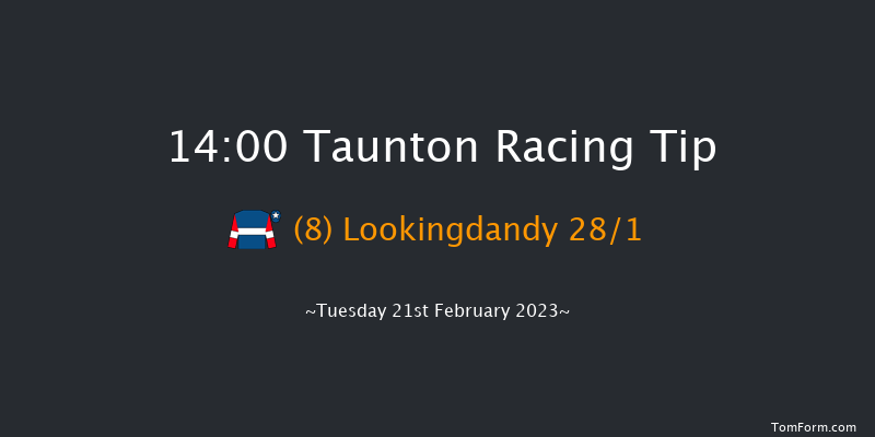 Taunton 14:00 Handicap Hurdle (Class 5) 19f Tue 7th Feb 2023