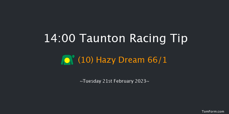 Taunton 14:00 Handicap Hurdle (Class 5) 19f Tue 7th Feb 2023