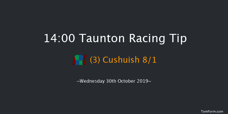 Taunton 14:00 Handicap Hurdle (Class 5) 24f Thu 1st Jan 1970