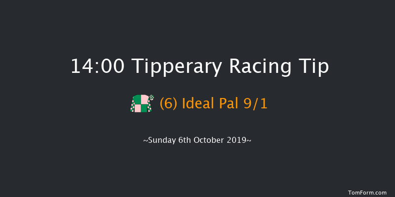 Tipperary 14:00 Handicap 9f Thu 29th Aug 2019
