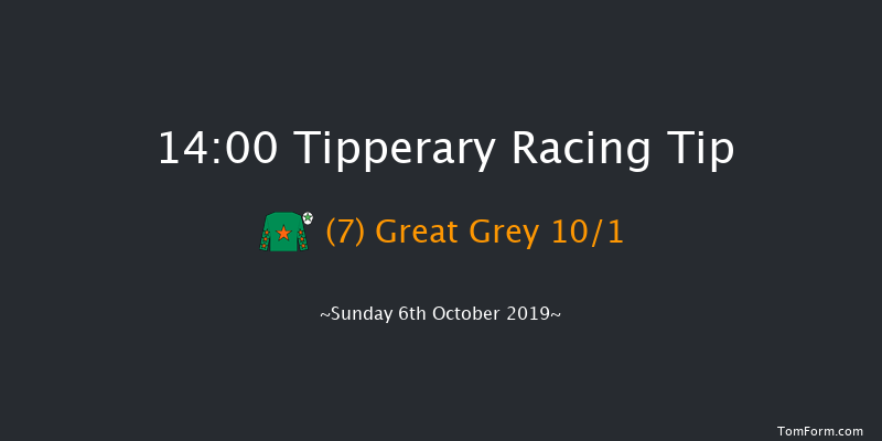 Tipperary 14:00 Handicap 9f Thu 29th Aug 2019