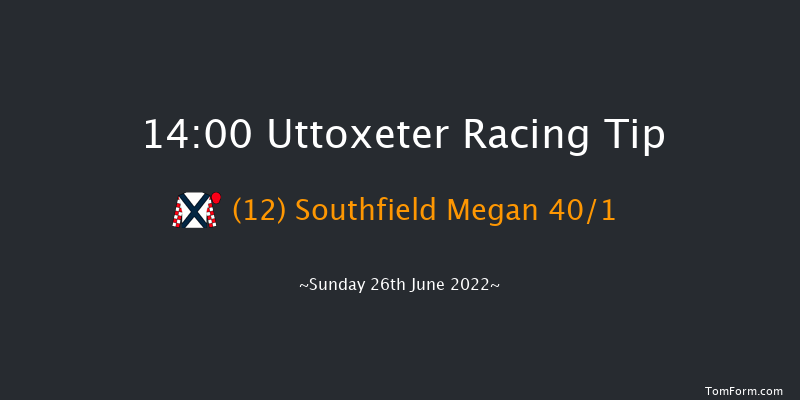 Uttoxeter 14:00 Handicap Hurdle (Class 5) 20f Wed 15th Jun 2022