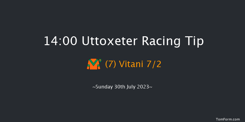 Uttoxeter 14:00 Conditions Hurdle (Class 4) 16f Fri 28th Jul 2023