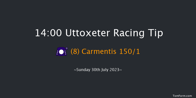 Uttoxeter 14:00 Conditions Hurdle (Class 4) 16f Fri 28th Jul 2023