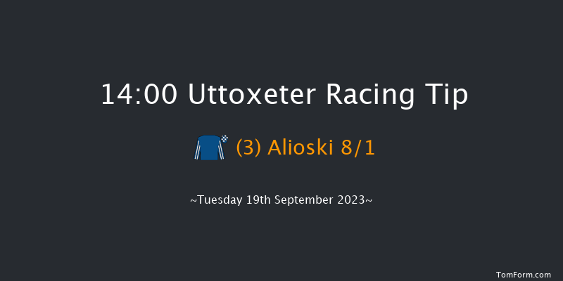 Uttoxeter 14:00 Handicap Hurdle (Class 5) 23f Wed 13th Sep 2023