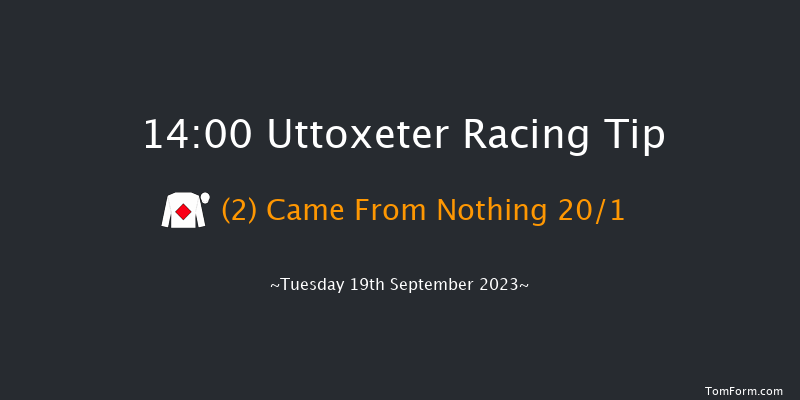 Uttoxeter 14:00 Handicap Hurdle (Class 5) 23f Wed 13th Sep 2023