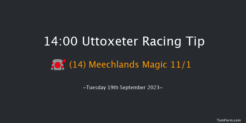 Uttoxeter 14:00 Handicap Hurdle (Class 5) 23f Wed 13th Sep 2023
