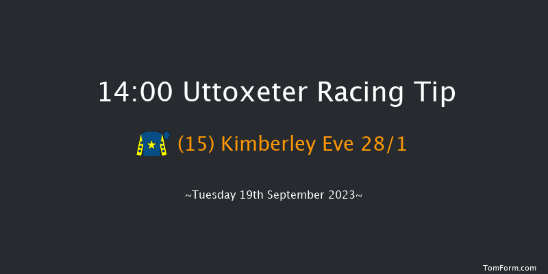 Uttoxeter 14:00 Handicap Hurdle (Class 5) 23f Wed 13th Sep 2023