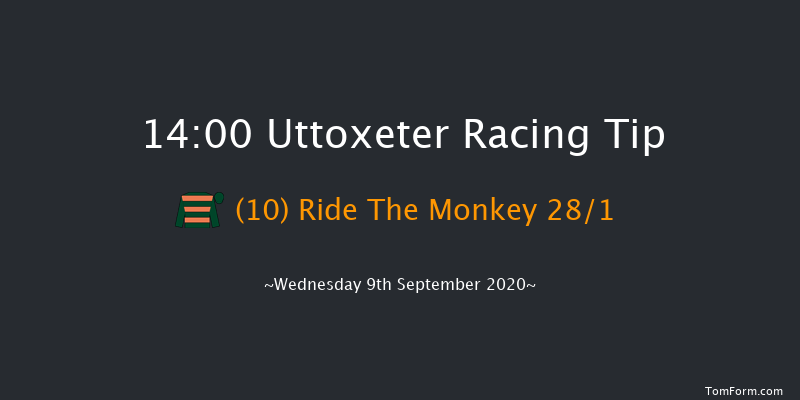 Pertemps St Leger On Sky Sports Racing Conditional Jockeys' Handicap Hurdle (Div 2) Uttoxeter 14:00 Handicap Hurdle (Class 5) 16f Wed 2nd Sep 2020