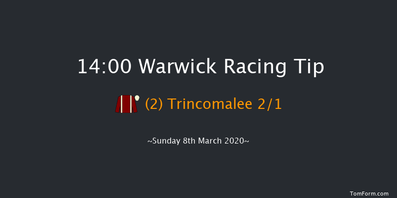 Dreamland Bedding Centre Novices' Hurdle Warwick 14:00 Novices Hurdle (Class 4) 16f Fri 21st Feb 2020