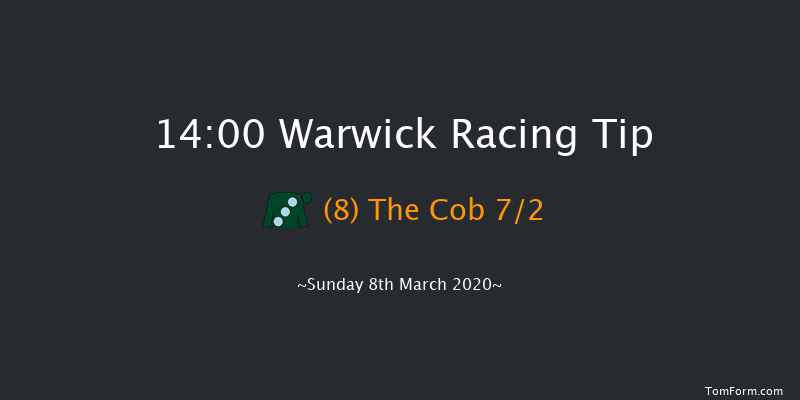 Dreamland Bedding Centre Novices' Hurdle Warwick 14:00 Novices Hurdle (Class 4) 16f Fri 21st Feb 2020